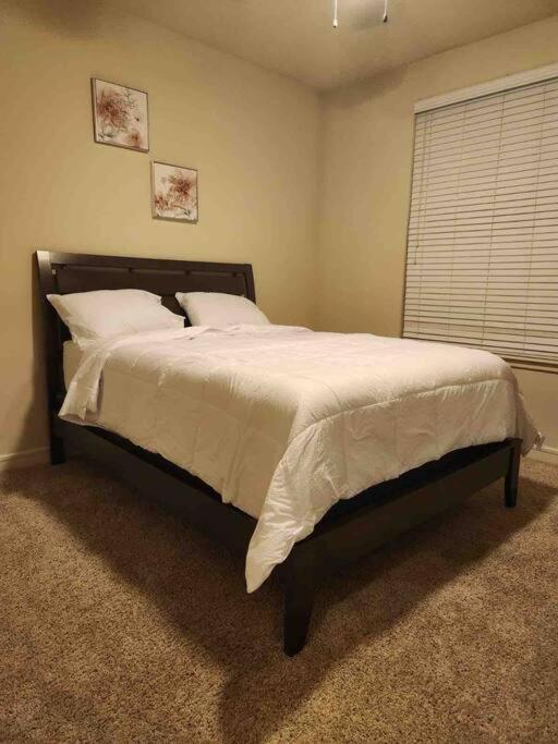 Home At Energy Corridor Houston Esterno foto